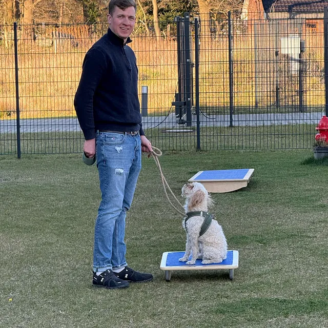 Hunteschnauze - Hundeschule