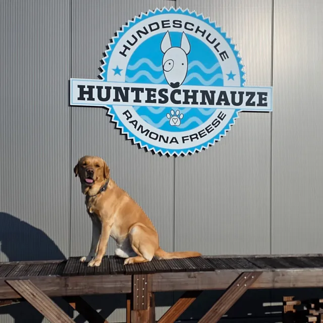 Hunteschnauze - Hundeschule
