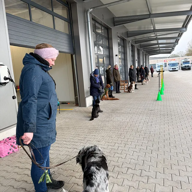 Hunteschnauze - Hundeschule